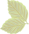 Green leaves