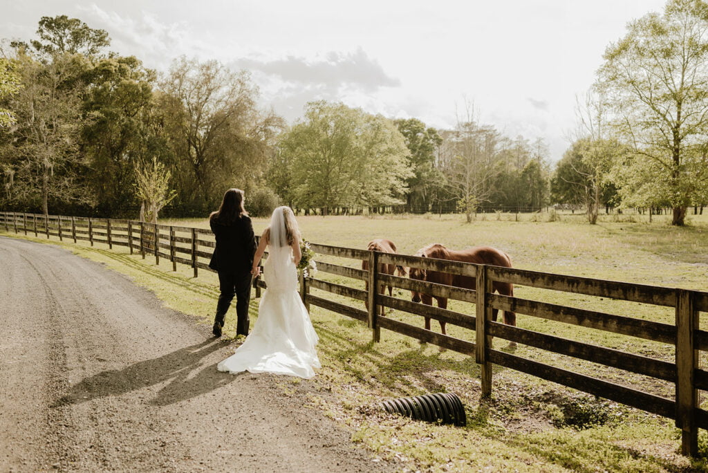 Jupiter Florida Wedding venue, Horse Farm, Farm Wedding Venue, Barn Wedding Venue, Ranch Wedding Venue, Horse Farm Wedding